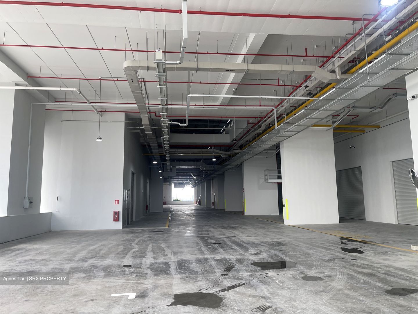 Ct Foodnex (D25), Warehouse #501668301